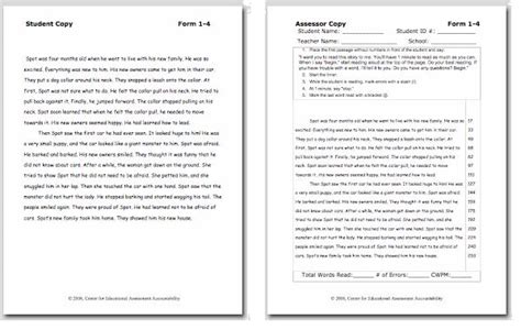 sycbm|easycbm reading passages.